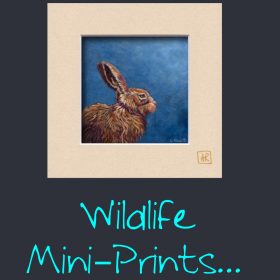 Wildlife Mini Prints...